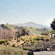 View from Rossmoor