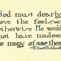 God must dearly love the fools...