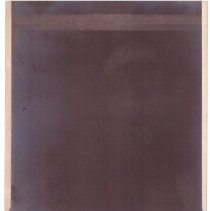 Negative of WW. Denlsow