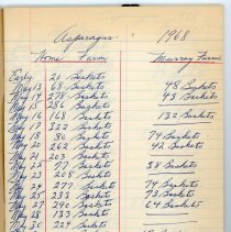 front of Smart Bros. Black Scribbler inside