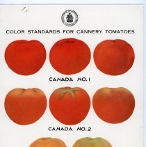 Colour Standards for Cannery Tomatoes Chart