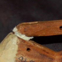 PR arm stuffed with tissue