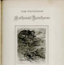 1 Scarlett Letter Hawthornes Writings