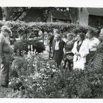 A2024.11.0001.f4.003 Dan Foley 1979