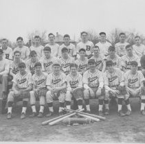 Berne Bears baseball team