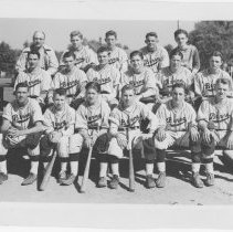 Berne Bears baseball team