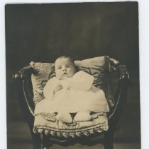 Baby Photo