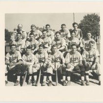 Berne Bears Baseball Team