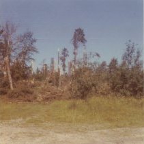 Great Storm of July 1973, Lions Park, Dryden