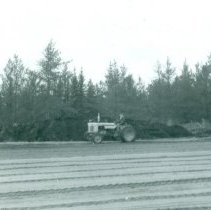 Tractor in field at the Dryden Tree Nursery.