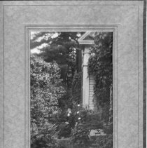 Edastina Bush - Sipprelle