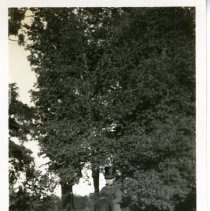 Colt child on horseback