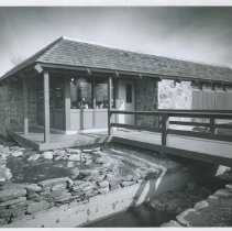 Shopping International