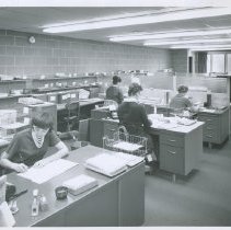 Shopping International