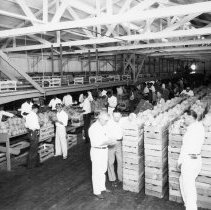 Interior of packing shed. Men crating Fore Brand cantaloupes grown and ship