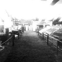 Imperial County Fair produce display - interior of exhibit building.