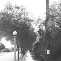 6th & Wensley Ave. El Centro. Note fire alarm box on power pole.