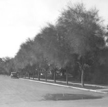 Wensley Ave. El Centro - 600 Block.