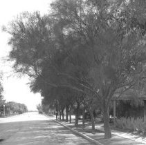 Wensley Ave. & 6th Street, El Centro - view south.