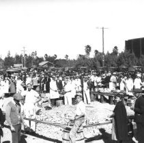 "dairy meeting picnic"