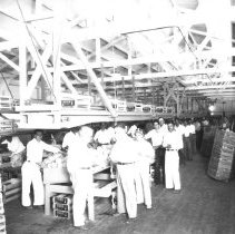 Interior of packing shed.