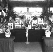 Hetzel The Photographer & Ritz Floral Shop - Fair display.