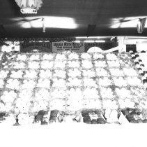 Imperial County Fair  - interior of exhibit building