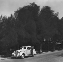 Virginia Hetzel standing next to a car parked on a tree lined street.