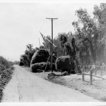 Haystack under Nevada Cal power line pole No. 45888 Eucalyptus Canal and Sa