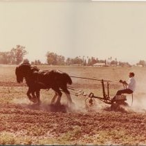 Jack Kirby with his "3600 Pound Championship Team" of Clydesdale horses,