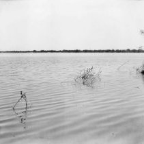 Blue Lake, taken from foot of Main Street in the townsite of Silsbee