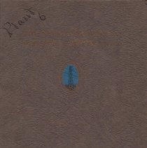 The Nevada California Electric Corporation