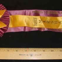 Ribbon, Promotional