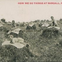 Alfalfa - How We Do Things at Bangall, N.Y.