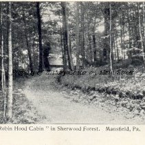 Road to Robin Hood Cabin in Sherwood Forest