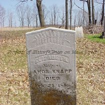 Elizabeth , wife of Amos Knapp - Wood Cemetery