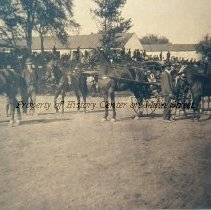 Carriage Horse Judging  Mansfield Fair