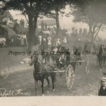 Carriages on Track at Smythe Park - Mansfield Fair
