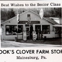 Cook's Store in Mainesburg