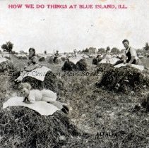 Alfalfa - How We Do Things at Blue Island, Ill.