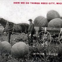 Winter Squash - How We Do Things at Reed City, Mich.