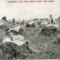Alfalfa - Pembine, Wis. Will Help Feed The Army