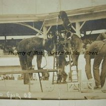 Bears at the Mansfield Fair 1908