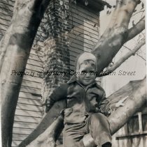 Jack G. Baynes in the apple tree.
