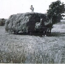 Nash Farm Photos 1930s, 40s