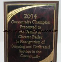 2014 Community Champion Award