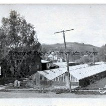 Crossley's Greenhouses on Morris Avenue