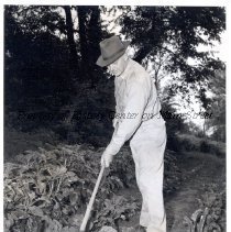 James Asher McConnell in the garden