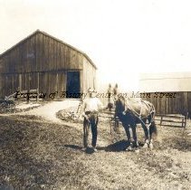 Harold Mudge by barn,
