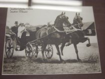 Roth carriange and horses  1977.134.001